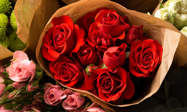 Varieties of Red Roses