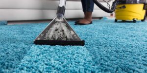 Professional Carpet Cleaning